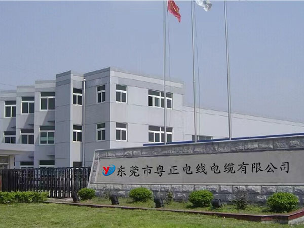 公司全景